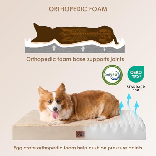 Orthopedic Dog Bed Large with Removable Washable Cover (41*27*3.5 inches / khaki)