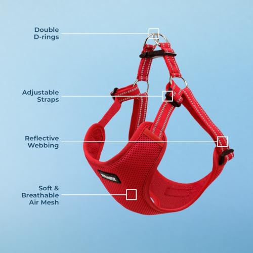 Voyager Step in Flex Adjustable Dog Harness (Harness (Red) / M)