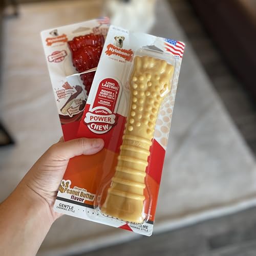 Power Chew Textured Bone Dog Toy (X-Large)