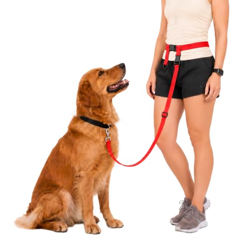 Hands Free Dog Leash (Regular Dog System (Large Belt (27"- 50" Waist)) / Red)
