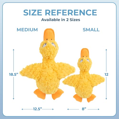 Squeaky Plush Dog Toy (Ducky Doodle (Yellow) / Small)