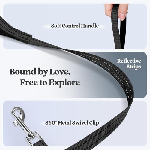 Dog Harness Medium Sized and Leash Set (Black / Xxl (chest: 21.6 - 23.7"))