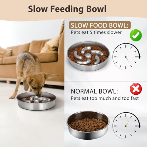 Slow Feeder Dog Bowl
