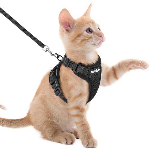 Cat Harness and Leash Set (Xxs / Black)