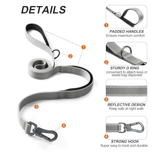 5FT 1IN Heavy Duty Dog Leash for Large Dogs with 2 Padded Handles (Grey / 1 in x 5 ft)