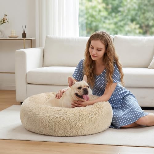 Orthopedic Dog Bed Comfortable Donut Cuddler Round Pet Beds Ultra Soft Washable Dog and Cat Cushion Bed (S-PLUS(27''x 27'') / Ivory Beige)