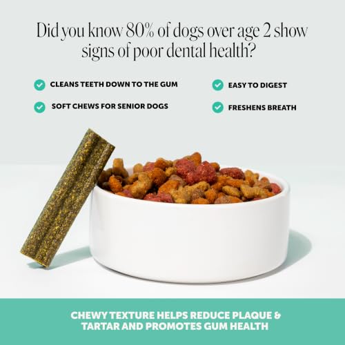 Vet Backed Dog Dental Treats for Fresh Breath (16 Count (Pack of 1))
