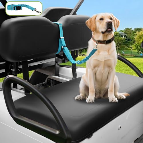 Golf Cart Dog Seat Leash (Blue)