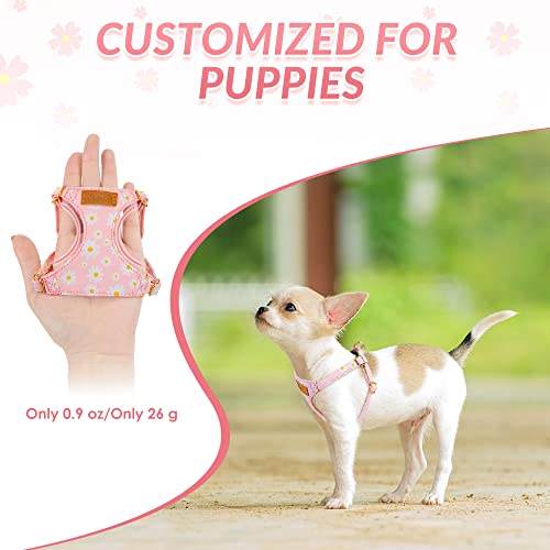 No Pull Dog Harness with Leash for Small Medium Dogs (XX-Small(2.2-6lb) / Pink Daisy)