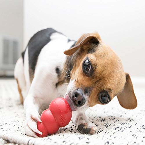 Classic Stuffable Dog Toy (X-Small)