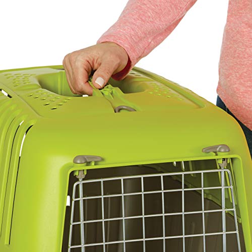 MidWest Spree Travel Carrier (Green)