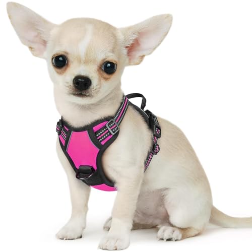 Dog Harness for Small Dogs (X-Small / Rose Red)