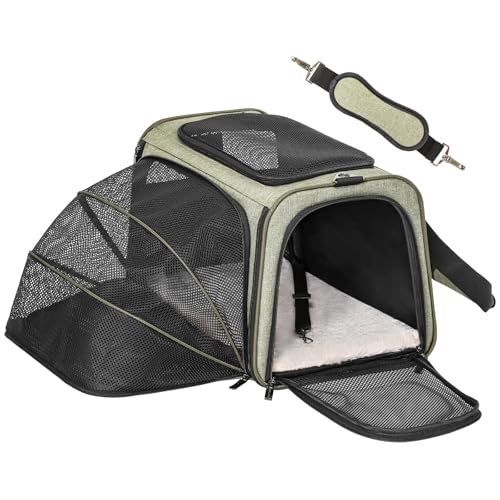 Medium Expandable Cat Carrier for Air Travel (17.0"L x 11.0"W x 11.0"H / Green)