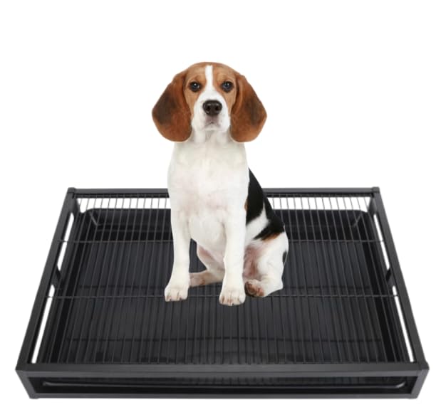 Dog Potty Training Tray with Detachable Drawer (L 37cm)