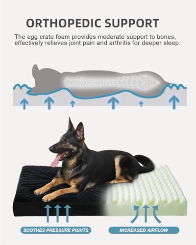 Orthopedic Dog Bed for Extra Large Dogs with Waterproof (Black / 47.0"L x 29.0"W x 4.0"Th)