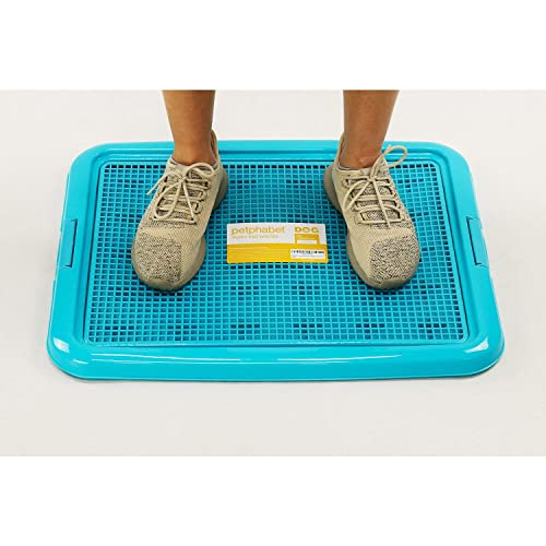 Training Pad Holder Floor Protection Dog Pad Holder Mesh Training Tray (18"X24")