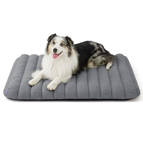 Cute Orthopedic Dog Bed Large Sized Dog (36"L x 27"W x 4"Th / Grey)
