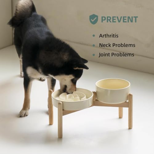 Elevated Slow Feeder Dog Bowls (Light Yellow)