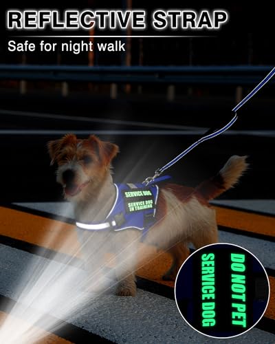 Small Service Dog Vest Harness and Leash Set+10 Patches Blue XS (Extra-Small / Blue)