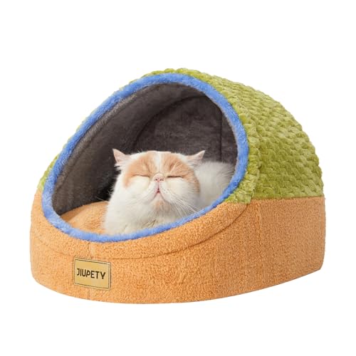 Cute Cat Beds for Indoor Cats (Medium / Green)