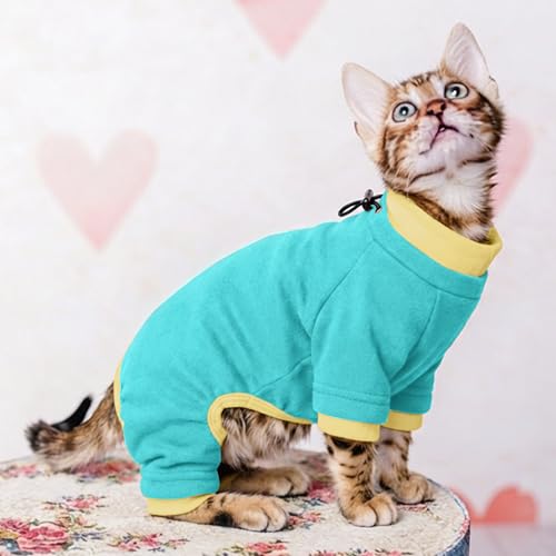 Cat Recovery Sweater for Licking & Hair Control (X-Large / Turquoise)