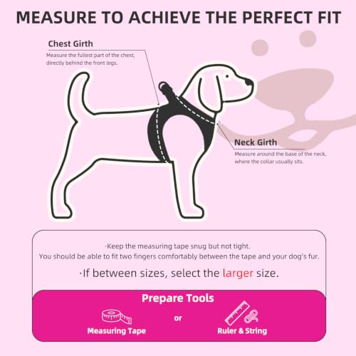 Dog Harness Collar and Leash Set No Pull for Small Medium Sized (Solid DeepPink / M (CHEST 16"-18"))