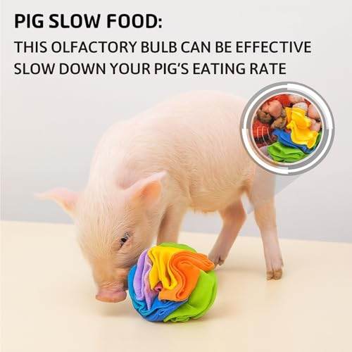 Pig Snuffle Mat and Snuffle Ball for Pigs