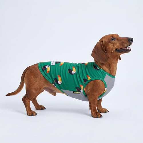 2 Pack Toucan & Palm Tree UPF 50+ Sun UV Protection Dog Shirt (XX-Large / Toucan & Palm Tree)