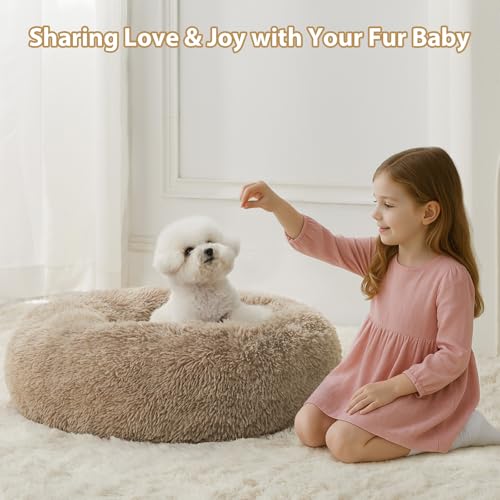 Calming Dog Bed (27"L x 27"W x 10"Th / Brown)