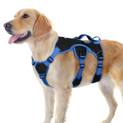 Escape Proof Dog Harness for Large (Blue & Black / Large)