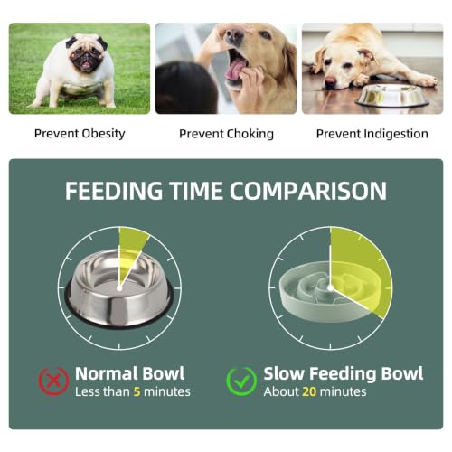 Ceramic Slow Feeder Dog Bowls (Light Green)