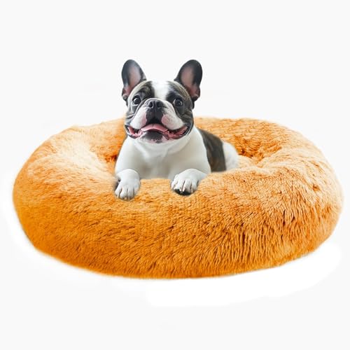 Calming Dog Bed Medium Size Dog (Orange / 27.0"L x 27.0"W x 8.0"Th)