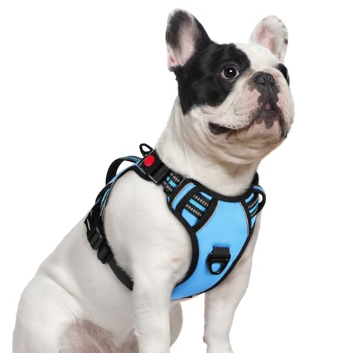 Large Dog Harness (Small / Light Blue)
