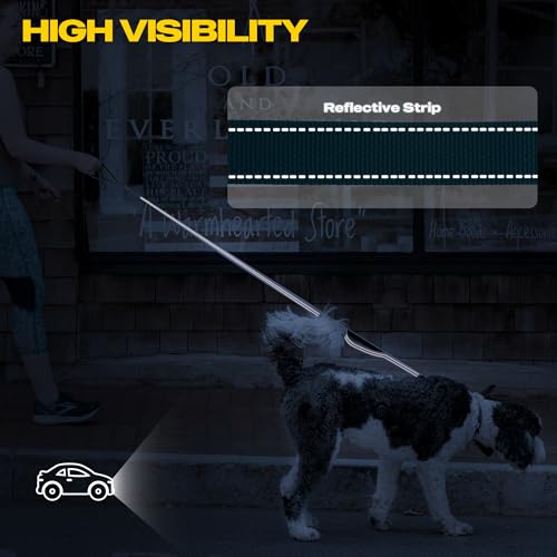 10 FT Heavy Duty Dog Leash (10 Feet (Pack of 1) / Blue)