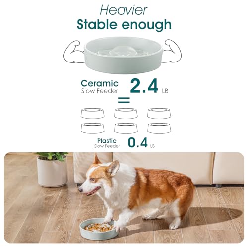 Slow Feeder Dog Bowl (M - 1.5 Cups / Grayish Cyan)