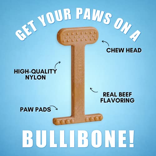 Nylon Dog Chew Toy for Aggressive Chewers (Small - 2 Pack)