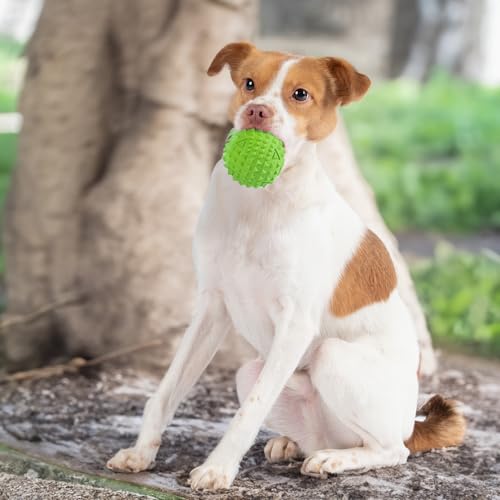 Squeaky Dog Toys with Soft Durable Fabric for Small (Green / Large)