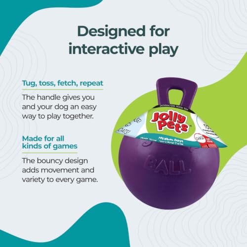 Tug-n-Toss Heavy Duty Dog Toy Ball with Handle, 8 Inches/Large, Purple (Purple / Large (8 in))
