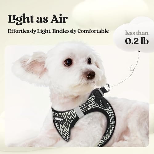 Dog Harness Small Sized and Leash Set (Black Zigzag / Xs (chest: 13.3 - 15.5"))