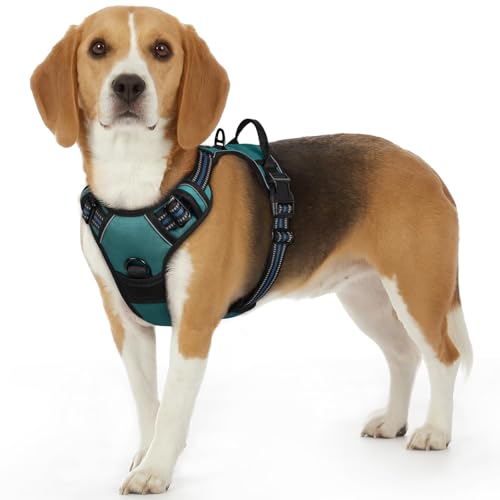 Dog Harness for Small Dogs (Small / Dark Green)