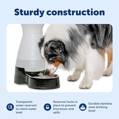 Healthy Pet Water Station (Waterer / Medium)