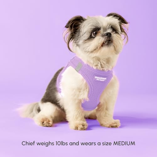 Step in Dog Harness for Large Dogs (Large / Lilac)