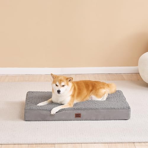 Orthopedic Dog Bed Medium with Removable Washable Cover (30*20*3.5 inches / Light Grey)