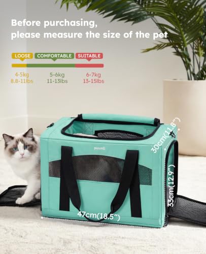 Cat Carrier Stable (Light Green / 18.5"L x 12.9"W x 11.8"H)