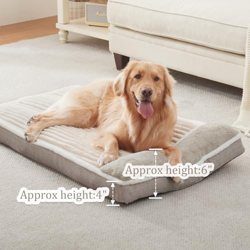 Dog Bed for Large Dogs (Beige / Medium:(31"L x 25"W x 3"Th))