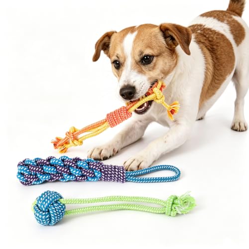 3Pcs Dog Rope Toys for Puppy (muti-3)