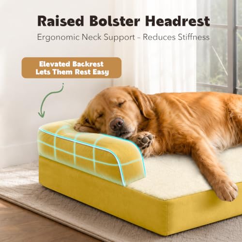 Orthopedic Washable Dog Bed with Bolster for Medium to Large Dogs (36.0"L x 27.0"W x 7.0"Th / Ginger)