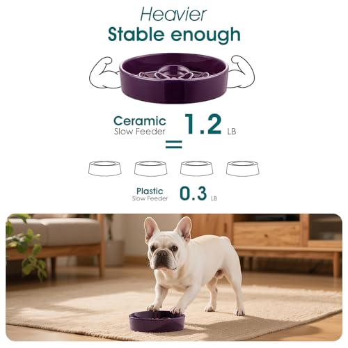 Slow Feeder Dog Bowl (S - 0.6 Cups / Dark Purple)