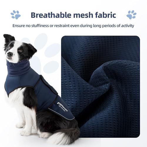 Dog Anxiety Vest (Blue / M)