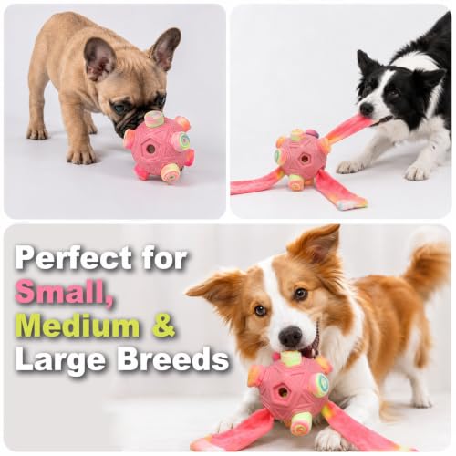 Dog Snuffle Ball (chromatic)